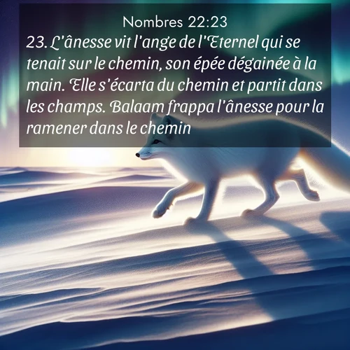 Segond21 Nombres  ; image nature: image avec le verset biblique :L&#039;ânesse vit l&#039;ange de l&#039;Eternel qui se tenait sur le chemin, son épée dégainée à la main. Elle s&#039;écarta du chemin et partit dans les champs. Balaam frappa l&#039;ânesse pour la ramener dans le chemin. ;  ; 22:23