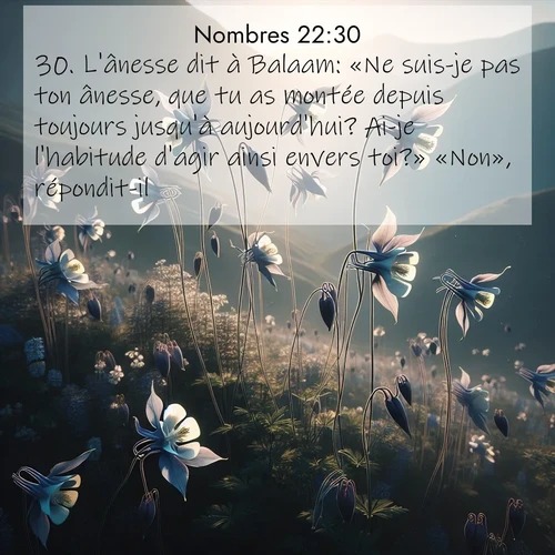 Segond21 Nombres  ; image nature: image avec le verset biblique :L&#039;ânesse dit à Balaam: «Ne suis-je pas ton ânesse, que tu as montée depuis toujours jusqu&#039;à aujourd&#039;hui? Ai-je l&#039;habitude d&#039;agir ainsi envers toi?» «Non», répondit-il. ;  ; 22:30