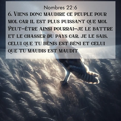 Segond21 Nombres  ; image nature: image avec le verset biblique :Viens donc maudire ce peuple pour moi, car il est plus puissant que moi. Peut-être ainsi pourrai-je le battre et le chasser du pays car, je le sais, celui que tu bénis est béni et celui que tu maudis est maudit.» ;  ; 22:6