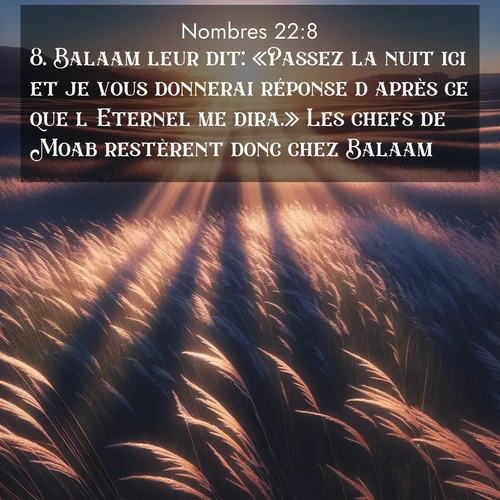 Segond21 Nombres  ; image nature: image avec le verset biblique :Balaam leur dit: «Passez la nuit ici et je vous donnerai réponse d&#039;après ce que l&#039;Eternel me dira.» Les chefs de Moab restèrent donc chez Balaam. ;  ; 22:8