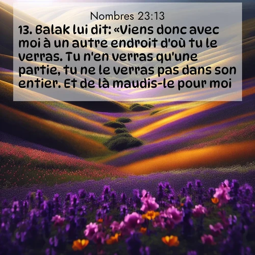 Segond21 Nombres  ; image nature: image avec le verset biblique :Balak lui dit: «Viens donc avec moi à un autre endroit d&#039;où tu le verras. Tu n&#039;en verras qu&#039;une partie, tu ne le verras pas dans son entier. Et de là maudis-le pour moi.» ;  ; 23:13