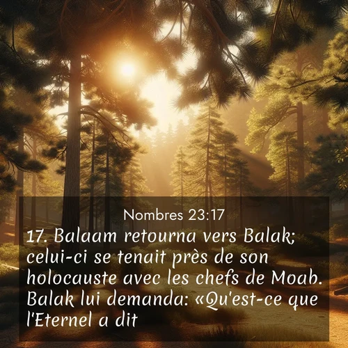 Segond21 Nombres  ; image nature: image avec le verset biblique :Balaam retourna vers Balak; celui-ci se tenait près de son holocauste avec les chefs de Moab. Balak lui demanda: «Qu&#039;est-ce que l&#039;Eternel a dit?» ;  ; 23:17