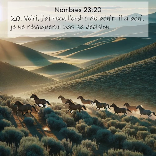 Segond21 Nombres  ; image nature: image avec le verset biblique :Voici, j&#039;ai reçu l&#039;ordre de bénir: il a béni, je ne révoquerai pas sa décision. ;  ; 23:20