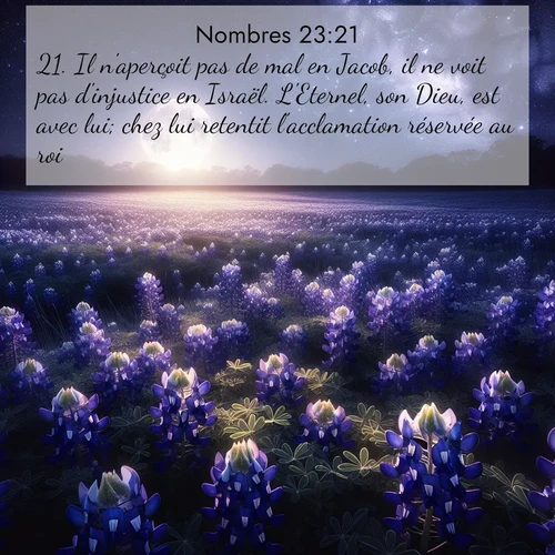 Segond21 Nombres  ; image nature: image avec le verset biblique :Il n&#039;aperçoit pas de mal en Jacob, il ne voit pas d&#039;injustice en Israël. L&#039;Eternel, son Dieu, est avec lui; chez lui retentit l&#039;acclamation réservée au roi. ;  ; 23:21