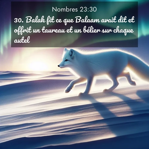 Segond21 Nombres  ; image nature: image avec le verset biblique :Balak fit ce que Balaam avait dit et offrit un taureau et un bélier sur chaque autel. ;  ; 23:30