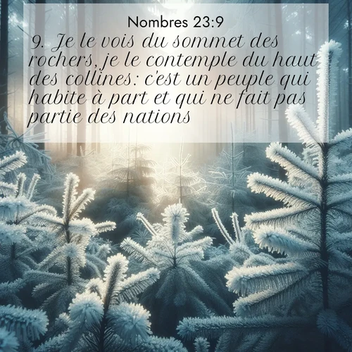 Segond21 Nombres  ; image nature: image avec le verset biblique :Je le vois du sommet des rochers, je le contemple du haut des collines: c&#039;est un peuple qui habite à part et qui ne fait pas partie des nations. ;  ; 23:9