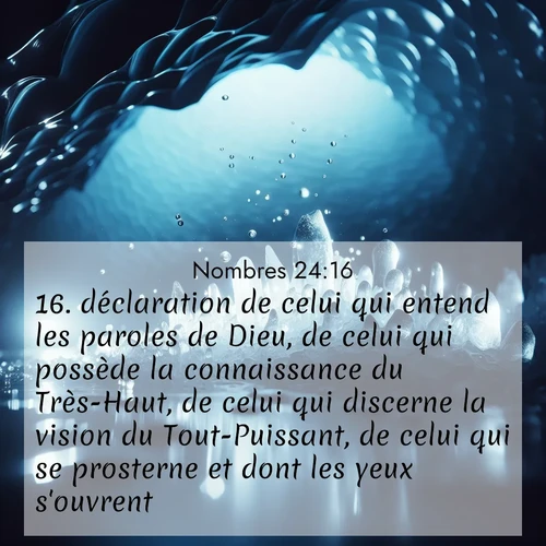 Segond21 Nombres  ; image nature: image avec le verset biblique :déclaration de celui qui entend les paroles de Dieu, de celui qui possède la connaissance du Très-Haut, de celui qui discerne la vision du Tout-Puissant, de celui qui se prosterne et dont les yeux s&#039;ouvrent. ;  ; 24:16