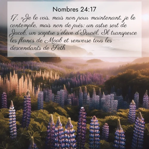 Segond21 Nombres  ; image nature: image avec le verset biblique :»Je le vois, mais non pour maintenant, je le contemple, mais non de près: un astre sort de Jacob, un sceptre s&#039;élève d&#039;Israël. Il transperce les flancs de Moab et renverse tous les descendants de Seth. ;  ; 24:17