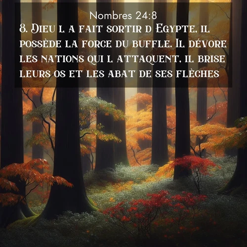 Segond21 Nombres  ; image nature: image avec le verset biblique :Dieu l&#039;a fait sortir d&#039;Egypte, il possède la force du buffle. Il dévore les nations qui l&#039;attaquent, il brise leurs os et les abat de ses flèches. ;  ; 24:8