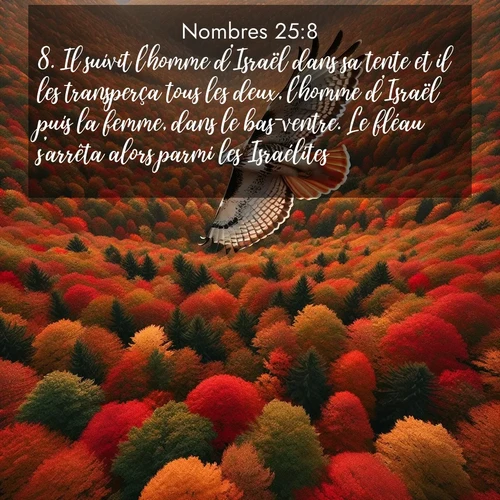 Segond21 Nombres  ; image nature: image avec le verset biblique :Il suivit l&#039;homme d&#039;Israël dans sa tente et il les transperça tous les deux, l&#039;homme d&#039;Israël puis la femme, dans le bas-ventre. Le fléau s&#039;arrêta alors parmi les Israélites. ;  ; 25:8