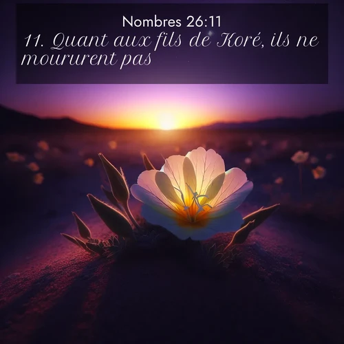Segond21 Nombres  ; image nature: image avec le verset biblique :Quant aux fils de Koré, ils ne moururent pas. ;  ; 26:11