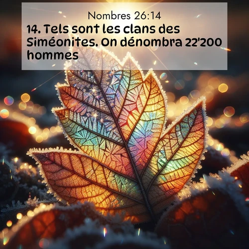Segond21 Nombres  ; image nature: image avec le verset biblique :Tels sont les clans des Siméonites. On dénombra 22&#039;200 hommes. ;  ; 26:14