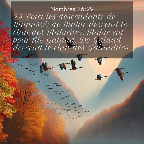 Segond21 Nombres  ; image nature: image avec le verset biblique :Voici les descendants de Manassé: de Makir descend le clan des Makirites. Makir eut pour fils Galaad. De Galaad descend le clan des Galaadites. ;  ; 26:29
