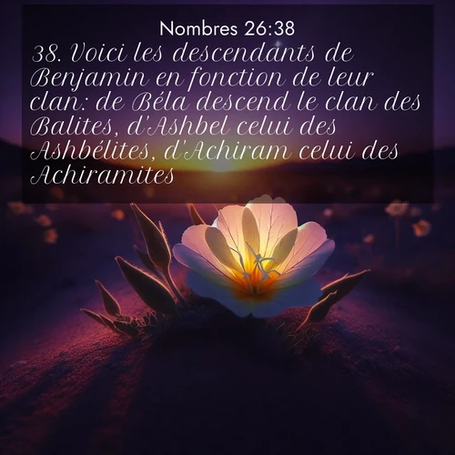 Segond21 Nombres  ; image nature: image avec le verset biblique :Voici les descendants de Benjamin en fonction de leur clan: de Béla descend le clan des Balites, d&#039;Ashbel celui des Ashbélites, d&#039;Achiram celui des Achiramites, ;  ; 26:38