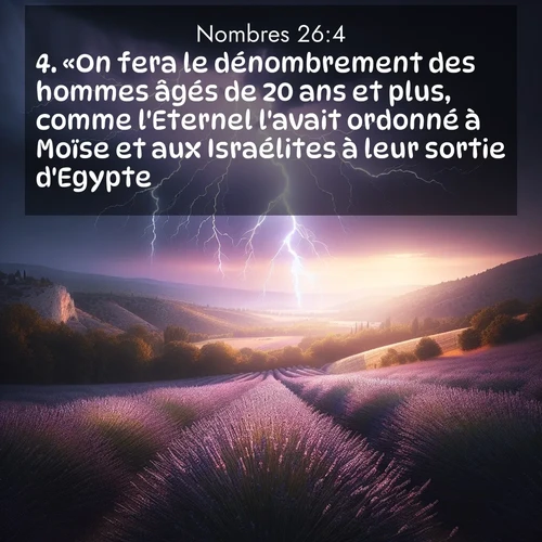 Segond21 Nombres  ; image nature: image avec le verset biblique :«On fera le dénombrement des hommes âgés de 20 ans et plus, comme l&#039;Eternel l&#039;avait ordonné à Moïse et aux Israélites à leur sortie d&#039;Egypte.» ;  ; 26:4