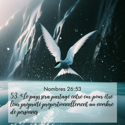 Segond21 Nombres  ; image nature: image avec le verset biblique :«Le pays sera partagé entre eux pour être leur propriété proportionnellement au nombre de personnes. ;  ; 26:53