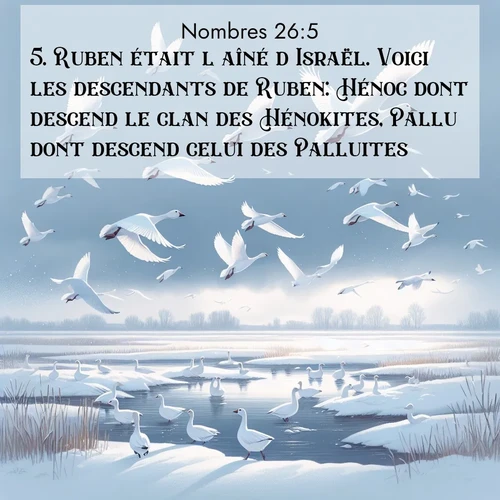 Segond21 Nombres  ; image nature: image avec le verset biblique :Ruben était l&#039;aîné d&#039;Israël. Voici les descendants de Ruben: Hénoc dont descend le clan des Hénokites, Pallu dont descend celui des Palluites, ;  ; 26:5