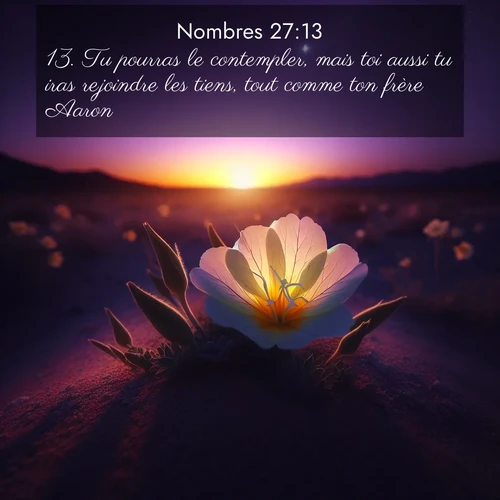 Segond21 Nombres  ; image nature: image avec le verset biblique :Tu pourras le contempler, mais toi aussi tu iras rejoindre les tiens, tout comme ton frère Aaron. ;  ; 27:13