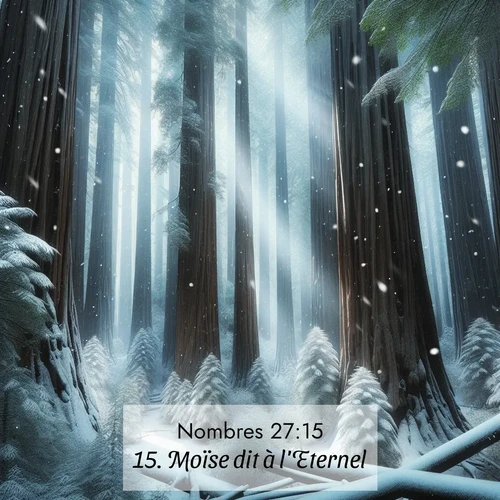 Segond21 Nombres  ; image nature: image avec le verset biblique :Moïse dit à l&#039;Eternel: ;  ; 27:15