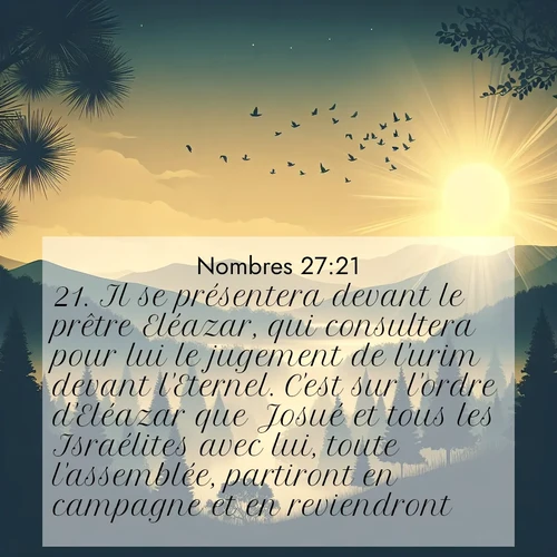 Segond21 Nombres  ; image nature: image avec le verset biblique :Il se présentera devant le prêtre Eléazar, qui consultera pour lui le jugement de l&#039;urim devant l&#039;Eternel. C&#039;est sur l&#039;ordre d&#039;Eléazar que Josué et tous les Israélites avec lui, toute l&#039;assemblée, partiront en campagne et en reviendront.» ;  ; 27:21