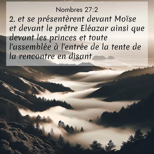 Segond21 Nombres  ; image nature: image avec le verset biblique :et se présentèrent devant Moïse et devant le prêtre Eléazar ainsi que devant les princes et toute l&#039;assemblée à l&#039;entrée de la tente de la rencontre en disant: ;  ; 27:2