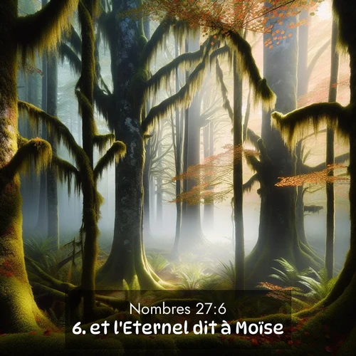 Segond21 Nombres  ; image nature: image avec le verset biblique :et l&#039;Eternel dit à Moïse: ;  ; 27:6