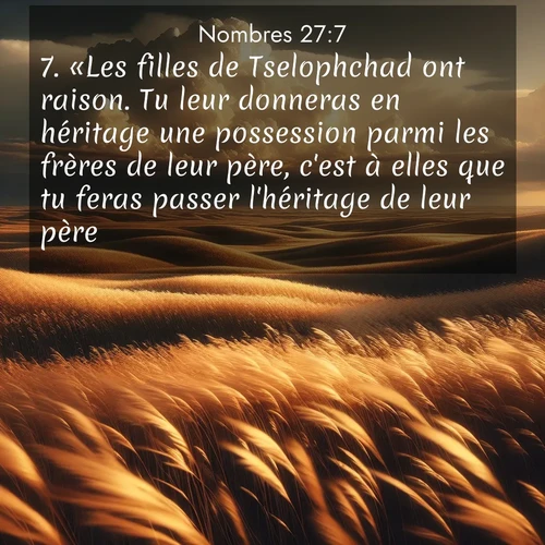 Segond21 Nombres  ; image nature: image avec le verset biblique :«Les filles de Tselophchad ont raison. Tu leur donneras en héritage une possession parmi les frères de leur père, c&#039;est à elles que tu feras passer l&#039;héritage de leur père. ;  ; 27:7