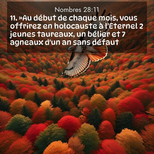 Segond21 Nombres  ; image nature: image avec le verset biblique :»Au début de chaque mois, vous offrirez en holocauste à l&#039;Eternel 2 jeunes taureaux, un bélier et 7 agneaux d&#039;un an sans défaut. ;  ; 28:11