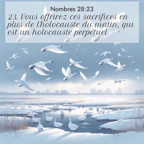 Segond21 Nombres  ; image nature: image avec le verset biblique :Vous offrirez ces sacrifices en plus de l&#039;holocauste du matin, qui est un holocauste perpétuel. ;  ; 28:23
