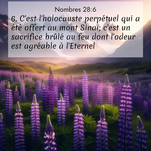 Segond21 Nombres  ; image nature: image avec le verset biblique :C&#039;est l&#039;holocauste perpétuel qui a été offert au mont Sinaï; c&#039;est un sacrifice brûlé au feu dont l&#039;odeur est agréable à l&#039;Eternel. ;  ; 28:6