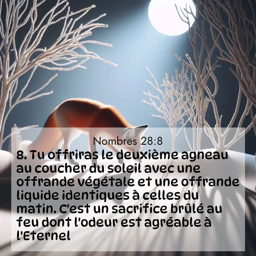 Segond21 Nombres  ; image nature: image avec le verset biblique :Tu offriras le deuxième agneau au coucher du soleil avec une offrande végétale et une offrande liquide identiques à celles du matin. C&#039;est un sacrifice brûlé au feu dont l&#039;odeur est agréable à l&#039;Eternel.&#039; ;  ; 28:8