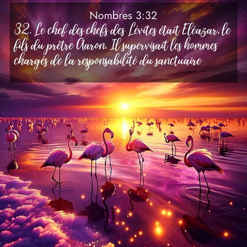 Segond21 Nombres  ; image nature: image avec le verset biblique :Le chef des chefs des Lévites était Eléazar, le fils du prêtre Aaron. Il supervisait les hommes chargés de la responsabilité du sanctuaire. ;  ; 3:32