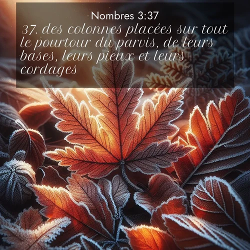 Segond21 Nombres  ; image nature: image avec le verset biblique :des colonnes placées sur tout le pourtour du parvis, de leurs bases, leurs pieux et leurs cordages. ;  ; 3:37