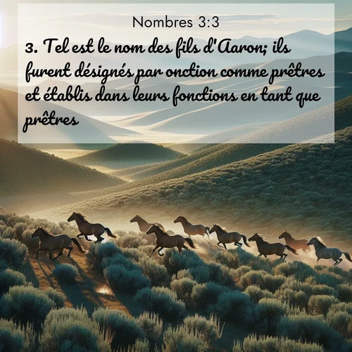 Segond21 Nombres  ; image nature: image avec le verset biblique :Tel est le nom des fils d&#039;Aaron; ils furent désignés par onction comme prêtres et établis dans leurs fonctions en tant que prêtres. ;  ; 3:3