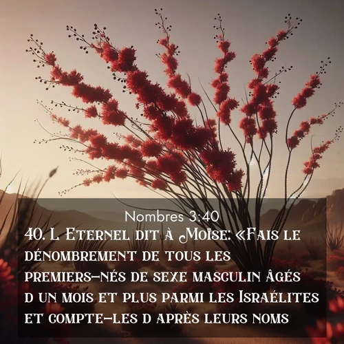 Segond21 Nombres  ; image nature: image avec le verset biblique :L&#039;Eternel dit à Moïse: «Fais le dénombrement de tous les premiers-nés de sexe masculin âgés d&#039;un mois et plus parmi les Israélites et compte-les d&#</p><p>Lire le verset dans son contexte : <br><a href=