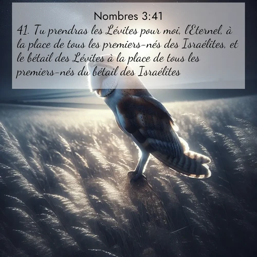 Segond21 Nombres  ; image nature: image avec le verset biblique :Tu prendras les Lévites pour moi, l&#039;Eternel, à la place de tous les premiers-nés des Israélites, et le bétail des Lévites à la place de tous les premiers-nés du bétail des Israélites.» ;  ; 3:41
