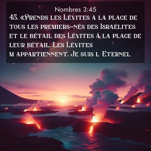 Segond21 Nombres  ; image nature: image avec le verset biblique :«Prends les Lévites à la place de tous les premiers-nés des Israélites et le bétail des Lévites à la place de leur bétail. Les Lévites m&#039;appartiennent. Je suis l&#039;Eternel. ;  ; 3:45
