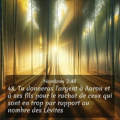 Segond21 Nombres  ; image nature: image avec le verset biblique :Tu donneras l&#039;argent à Aaron et à ses fils pour le rachat de ceux qui sont en trop par rapport au nombre des Lévites.» ;  ; 3:48
