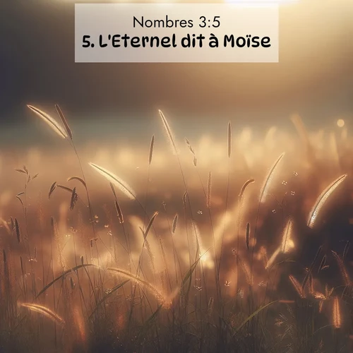 Segond21 Nombres  ; image nature: image avec le verset biblique :L&#039;Eternel dit à Moïse: ;  ; 3:5