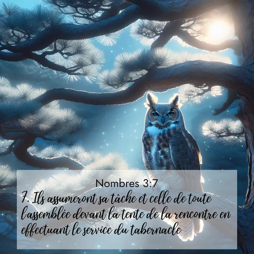 Segond21 Nombres  ; image nature: image avec le verset biblique :Ils assumeront sa tâche et celle de toute l&#039;assemblée devant la tente de la rencontre en effectuant le service du tabernacle. ;  ; 3:7