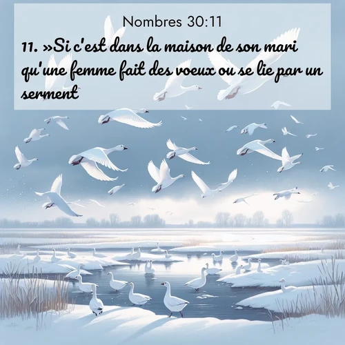 Segond21 Nombres  ; image nature: image avec le verset biblique :»Si c&#039;est dans la maison de son mari qu&#039;une femme fait des voeux ou se lie par un serment, ;  ; 30:11