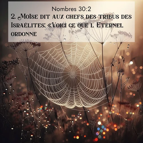 Segond21 Nombres  ; image nature: image avec le verset biblique :Moïse dit aux chefs des tribus des Israélites: «Voici ce que l&#039;Eternel ordonne. ;  ; 30:2