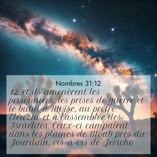 Segond21 Nombres  ; image nature: image avec le verset biblique :et ils amenèrent les prisonniers, les prises de guerre et le butin à Moïse, au prêtre Eléazar et à l&#039;assemblée des Israélites. Ceux-ci campaient dans les plaines de Moab près du Jourdain, vis-à-vis de Jéricho. ;  ; 31:12