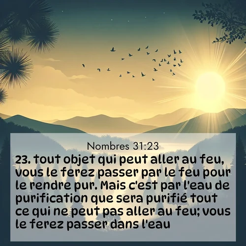 Segond21 Nombres  ; image nature: image avec le verset biblique :tout objet qui peut aller au feu, vous le ferez passer par le feu pour le rendre pur. Mais c&#039;est par l&#039;eau de purification que sera purifié tout ce qui ne peut pas aller au feu; vous le ferez passer dans l&#039;eau. ;  ; 31:23