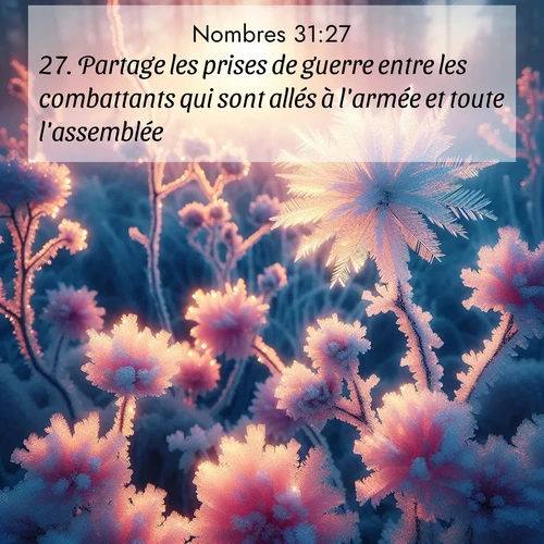 Segond21 Nombres  ; image nature: image avec le verset biblique :Partage les prises de guerre entre les combattants qui sont allés à l&#039;armée et toute l&#039;assemblée. ;  ; 31:27