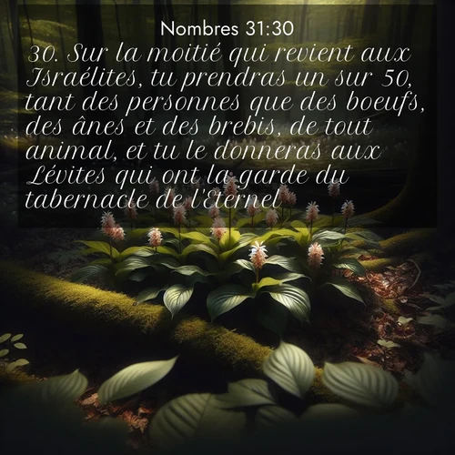 Segond21 Nombres  ; image nature: image avec le verset biblique :Sur la moitié qui revient aux Israélites, tu prendras un sur 50, tant des personnes que des boeufs, des ânes et des brebis, de tout animal, et tu le donneras aux Lévites qui ont la garde du tabernacle de l&#039;Eternel.» ;  ; 31:30