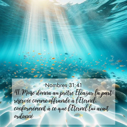 Segond21 Nombres  ; image nature: image avec le verset biblique :Moïse donna au prêtre Eléazar la part réservée comme offrande à l&#039;Eternel, conformément à ce que l&#039;Eternel lui avait ordonné. ;  ; 31:41