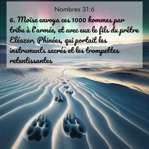 Segond21 Nombres  ; image nature: image avec le verset biblique :Moïse envoya ces 1000 hommes par tribu à l&#039;armée, et avec eux le fils du prêtre Eléazar, Phinées, qui portait les instruments sacrés et les trompettes retentissantes. ;  ; 31:6