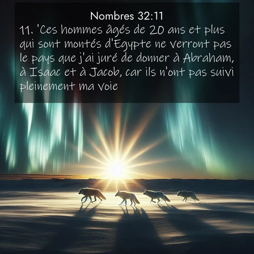 Segond21 Nombres  ; image nature: image avec le verset biblique :&#039;Ces hommes âgés de 20 ans et plus qui sont montés d&#039;Egypte ne verront pas le pays que j&#039;ai juré de donner à Abraham, à Isaac et à Jacob, car ils n&#039;ont pas suivi pleinement ma voie, ;  ; 32:11