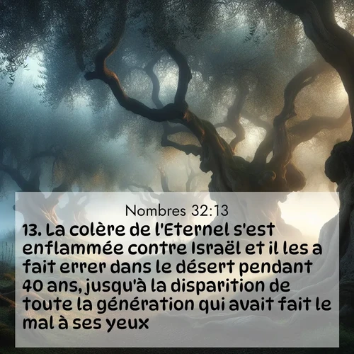 Segond21 Nombres  ; image nature: image avec le verset biblique :La colère de l&#039;Eternel s&#039;est enflammée contre Israël et il les a fait errer dans le désert pendant 40 ans, jusqu&#039;à la disparition de toute la génération qui avait fait le mal à ses yeux. ;  ; 32:13